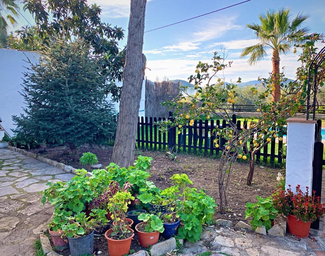 הוילה Vivelorural Casa Y Piscina En סהרה דה לה סיירה מראה חיצוני תמונה