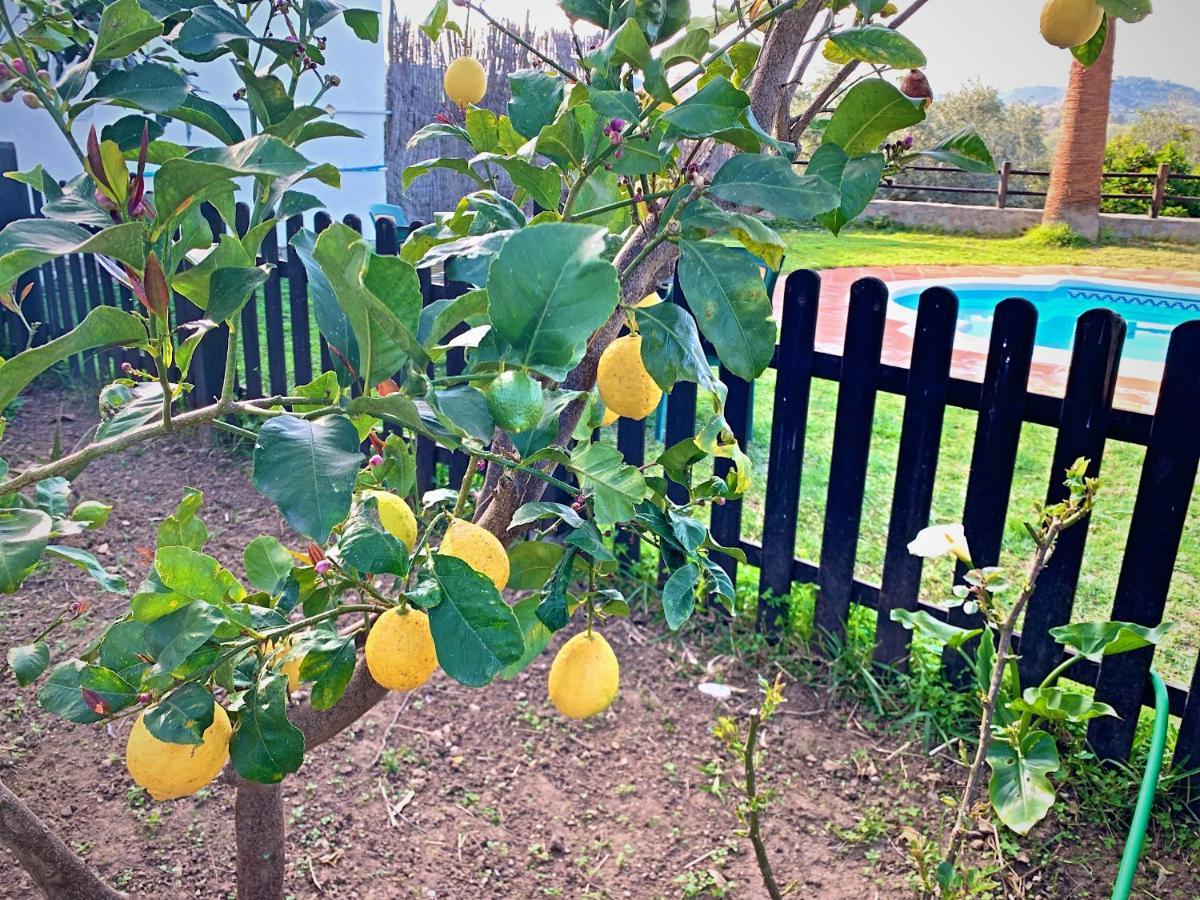 הוילה Vivelorural Casa Y Piscina En סהרה דה לה סיירה מראה חיצוני תמונה
